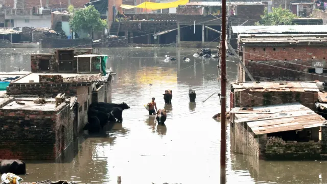 लखनऊ में बाढ़ का कहर! गोमती नदी के बढ़ते जलस्तर से कई इलाकों में जलभराव, आखिर क्यों डूब रहे हैं रिहायशी इलाके?